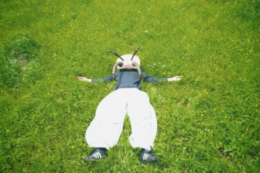 You need to touch grass, you’re an ant